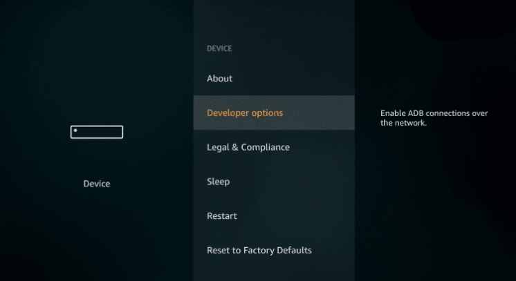 developer options